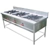 SS 2 Burner Gas Range